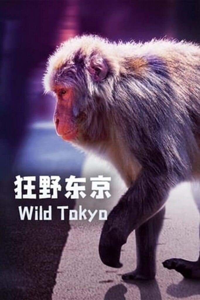 مستند حیات وحش توکیو